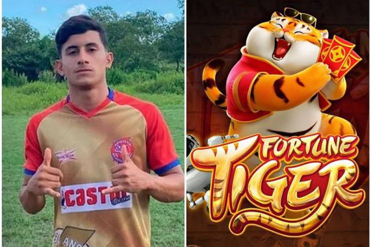 No MA, divulgar 'Jogo do Tigre' pode dar multa de R$ 1 milhão - Gilberto  Léda
