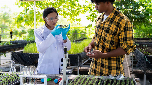 Brasil e China lançam laboratório de IA para modernizar agricultura familiar no Nordeste